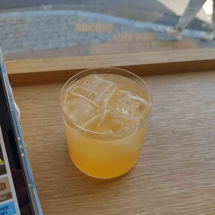 파오리 대표 사진