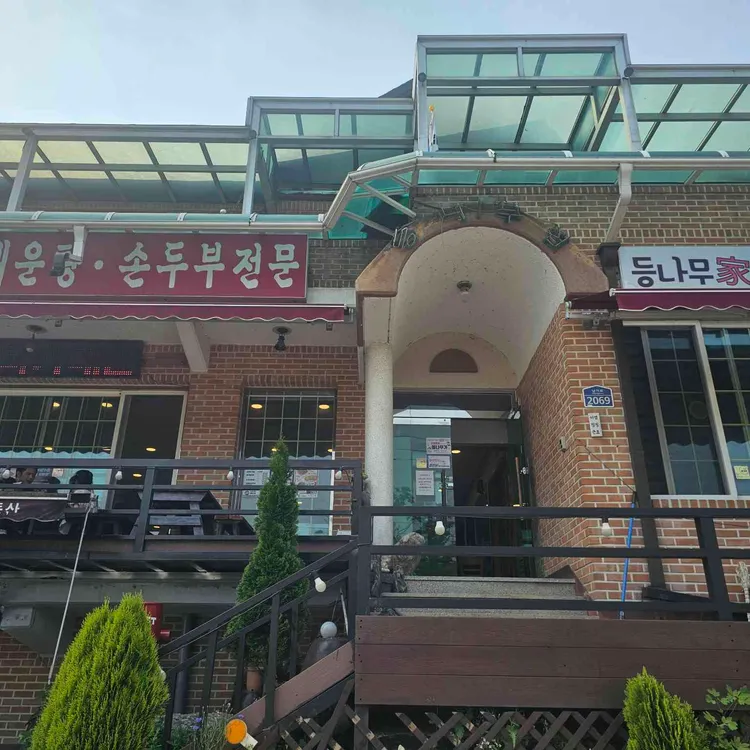 등나무가 대표 사진