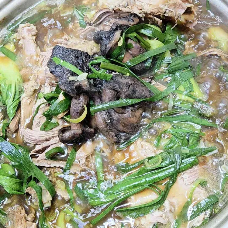 느티나무 사진 1