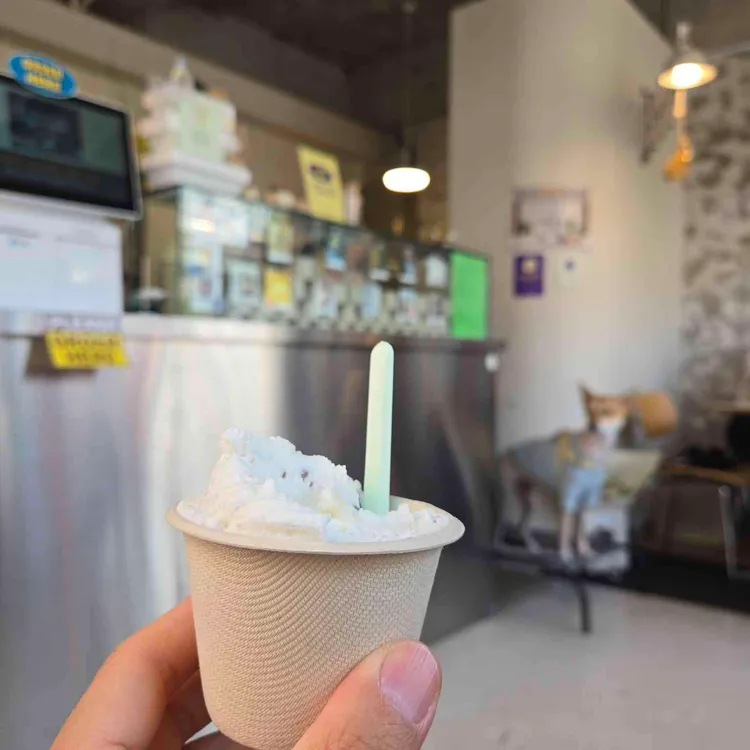 you are my gelato 사진 2