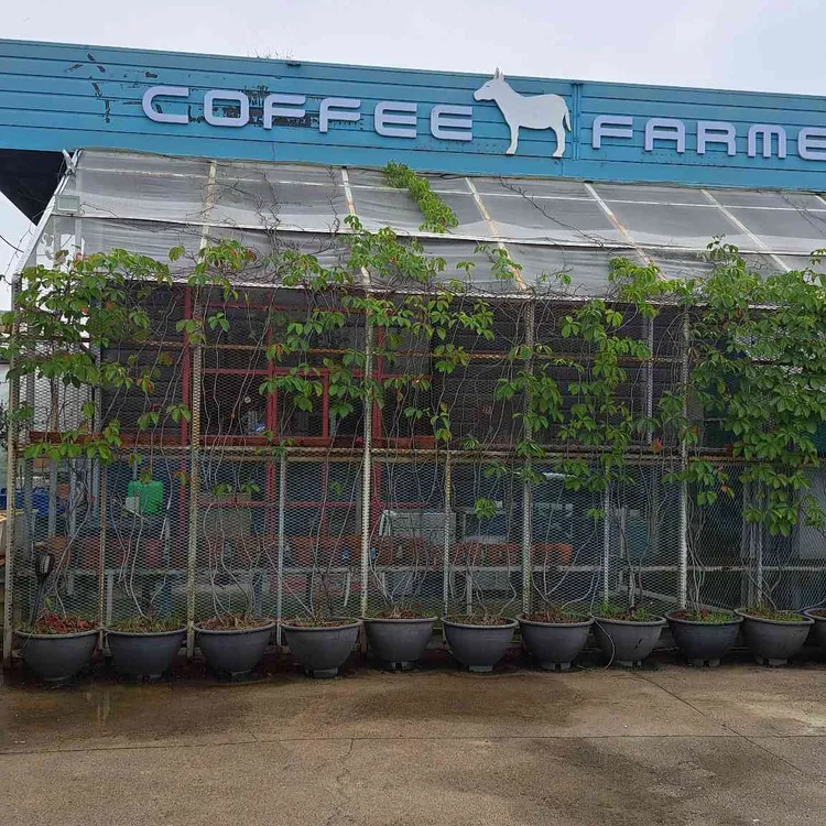 커피파머 대표 사진