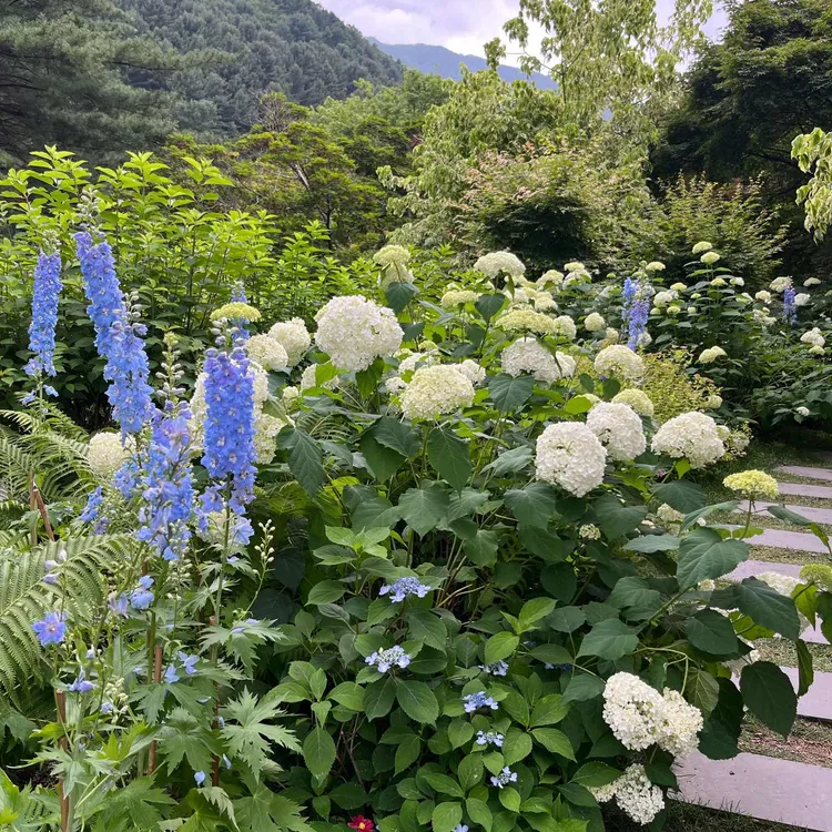 굿모닝커피 대표 사진