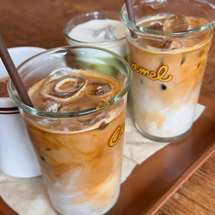 카멜 사진