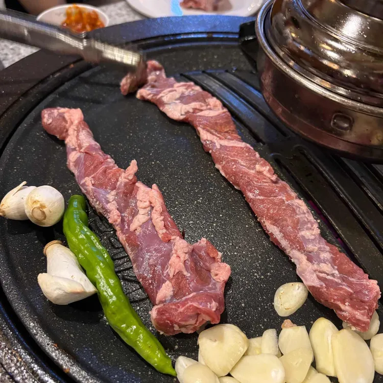 부산갈매기 사진 1