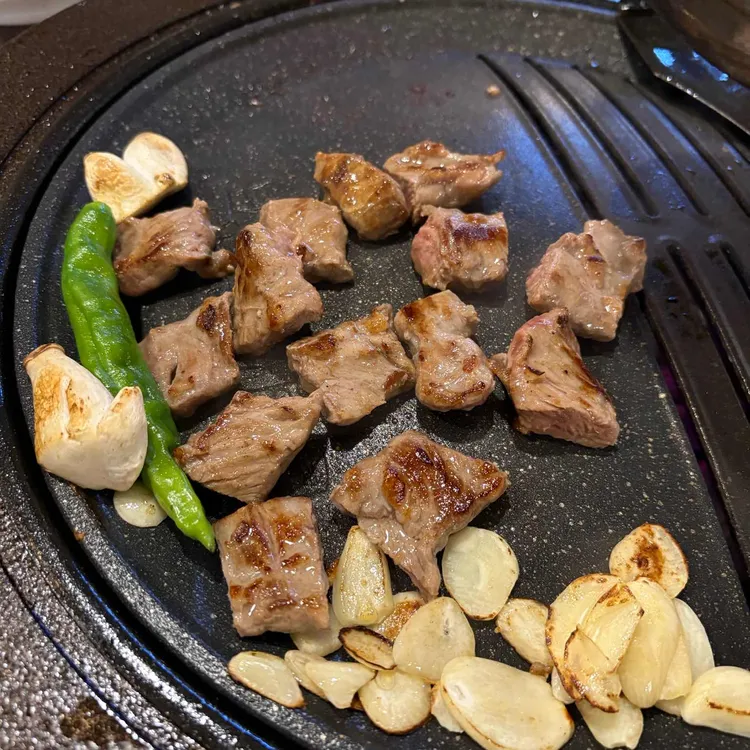 부산갈매기 사진 2