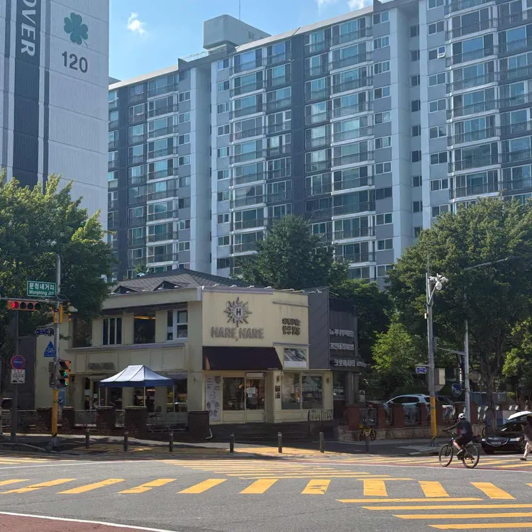 하레하레 대표 사진