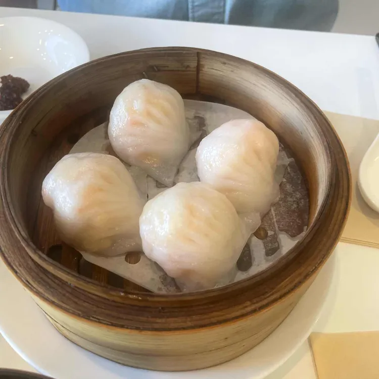 남향티하우스 사진 2