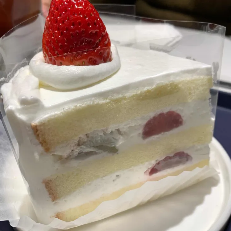 스타싸인 대표 사진