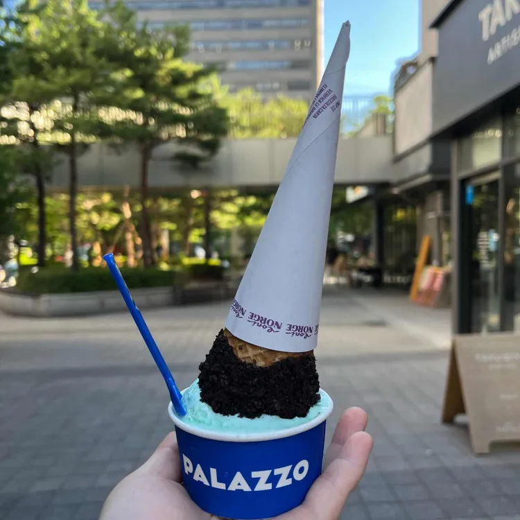 빨라쪼델프레도 대표 사진