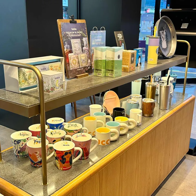 파스쿠찌 대표 사진