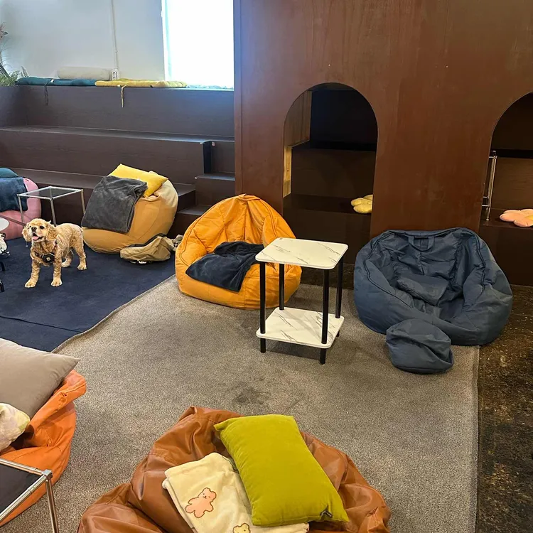 센버스 대표 사진