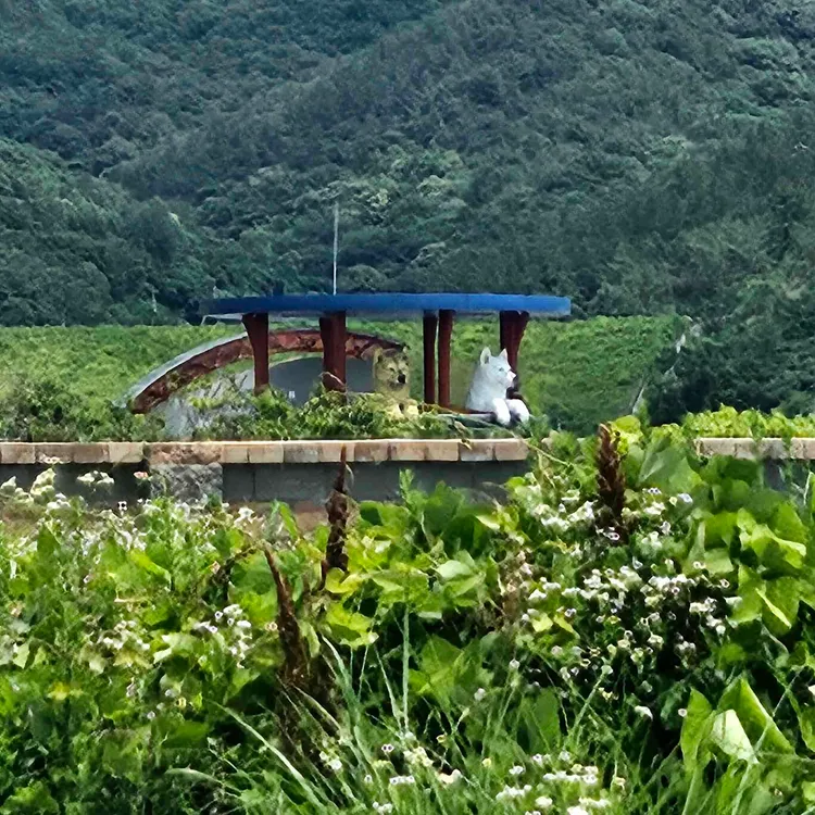 초록언덕 대표 사진