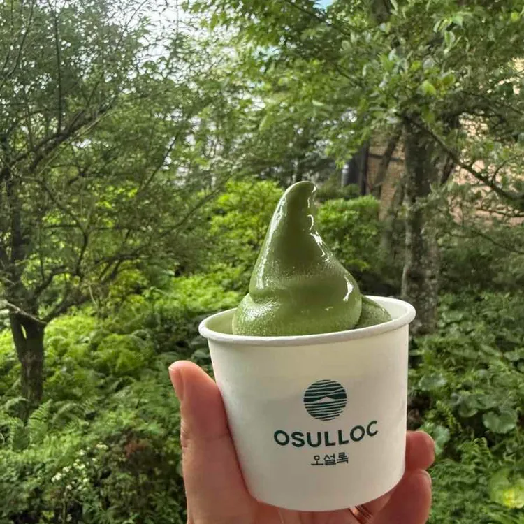 오설록 티 뮤지엄 사진