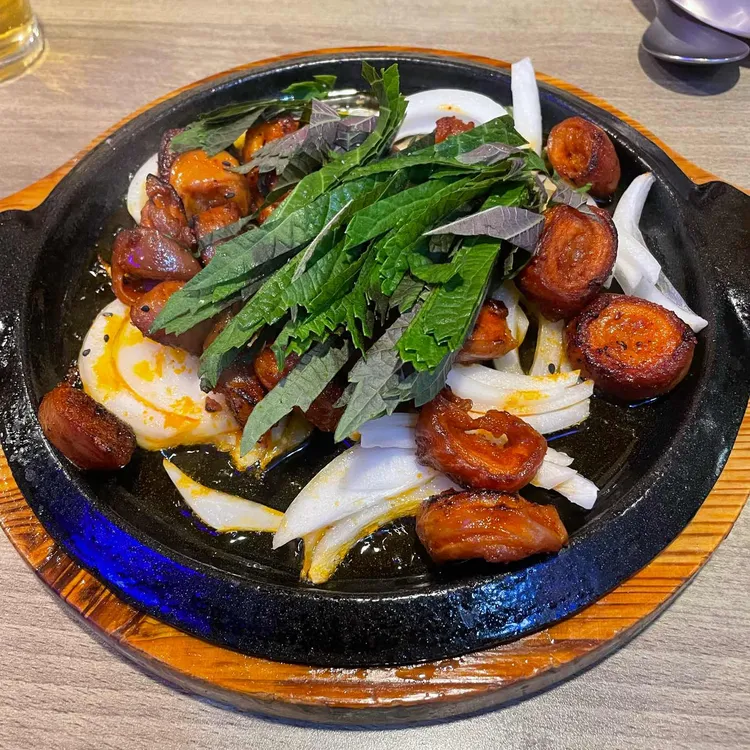 붐비어 사진 1