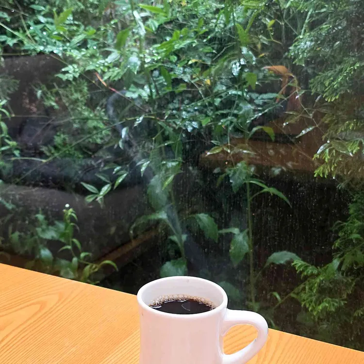주리485 대표 사진