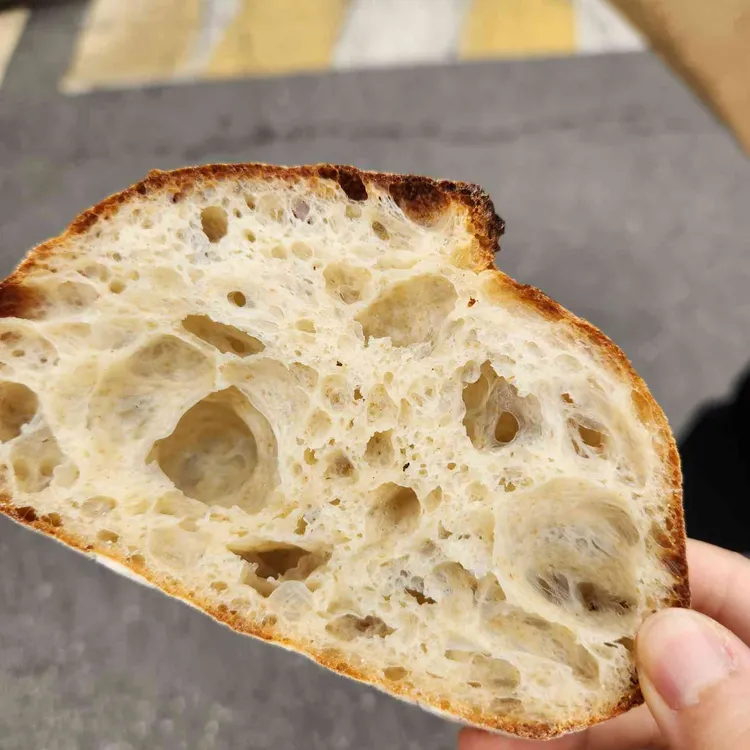 하이놀리 사진