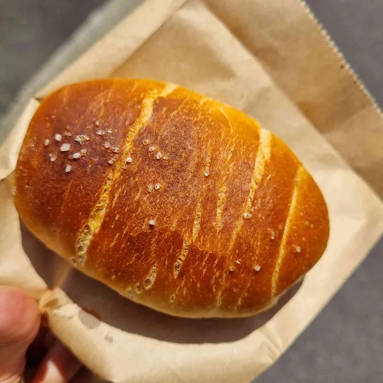 빵귿 사진 1