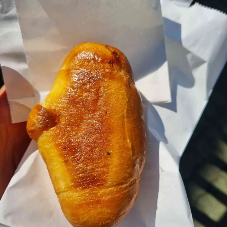 도토리 대표 사진