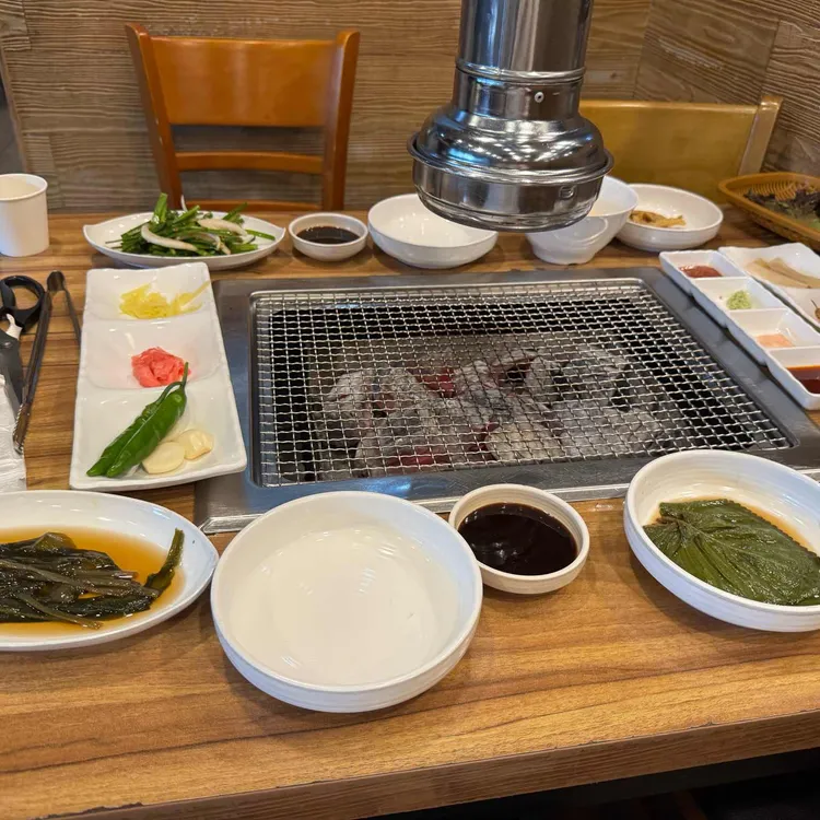 미남장어 사진 2