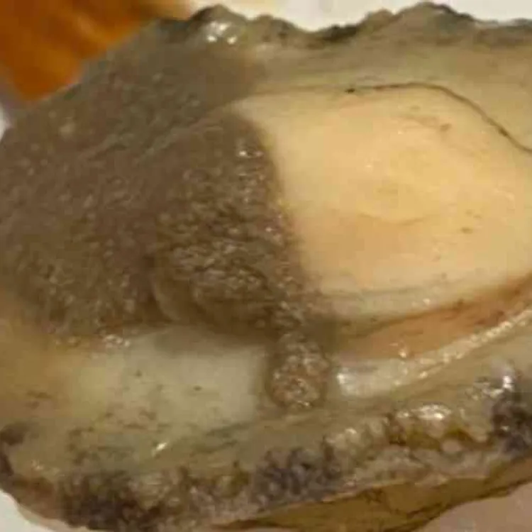 호야초밥참치 사진 2