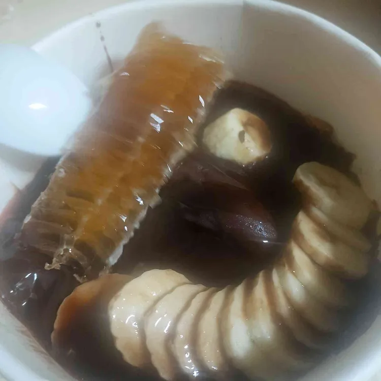 마이요거트립 대표 사진