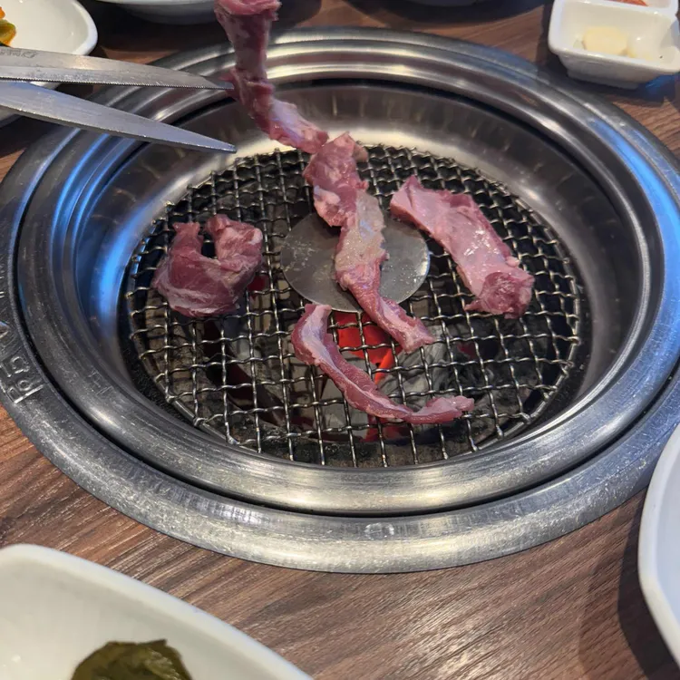 송도갈매기 사진 2