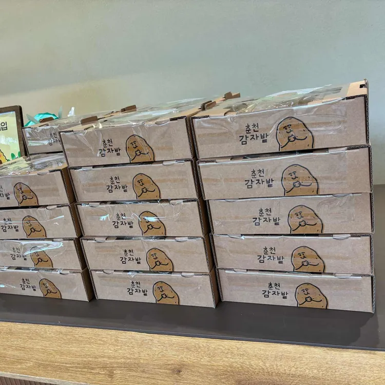 감자밭 사진 2
