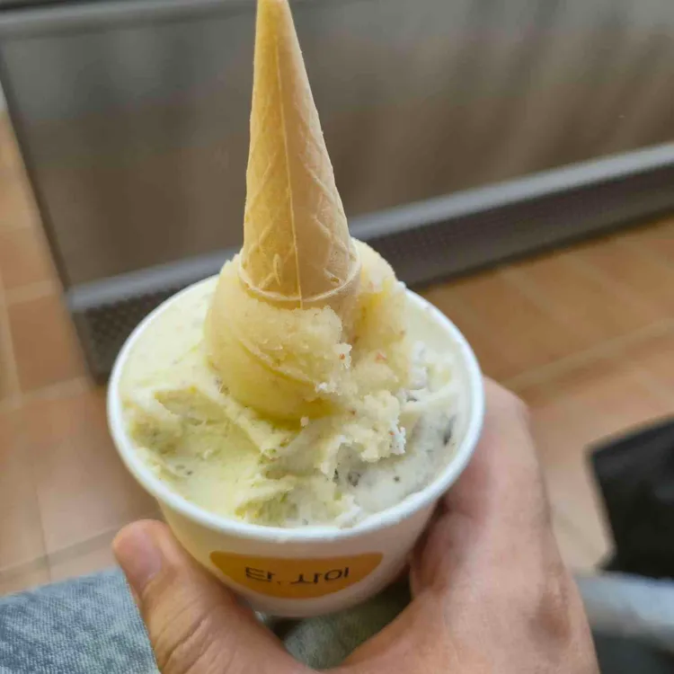 젤라떼리아 단, 사이 대표 사진