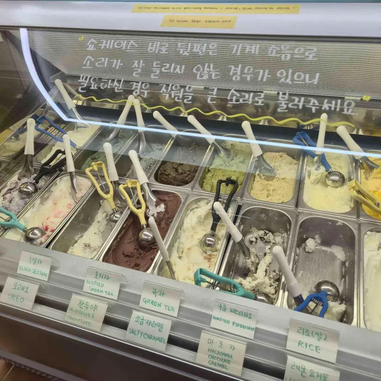 젤라떼리아 단, 사이 대표 사진