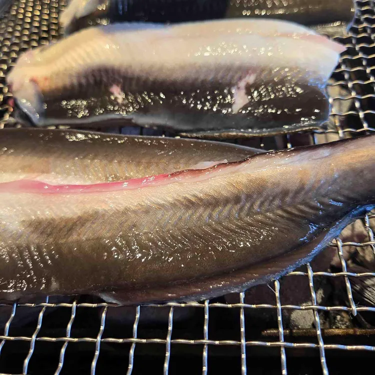 영사정민물장어직판장 사진 2