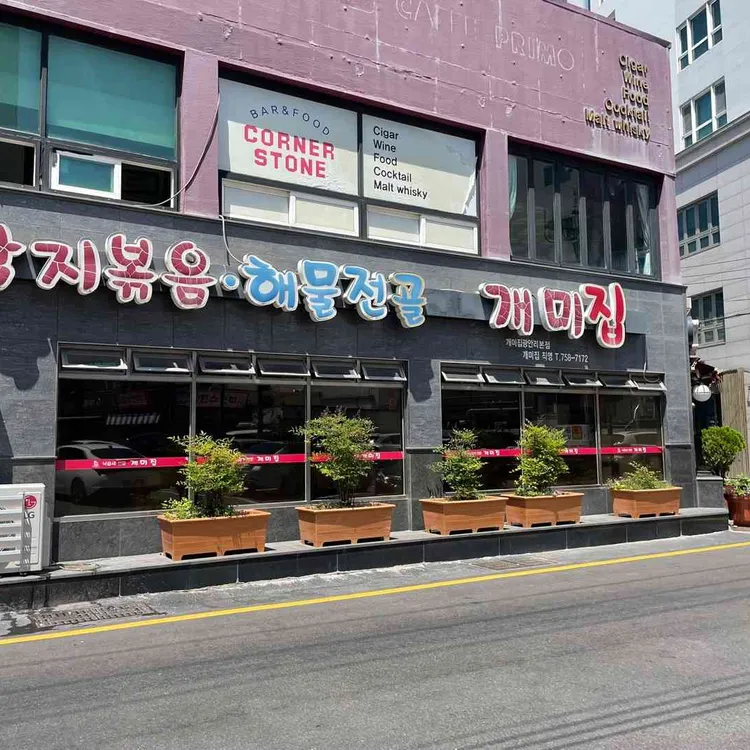 개미집 사진 1
