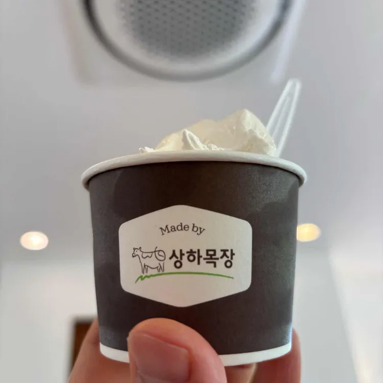 로프 대표 사진