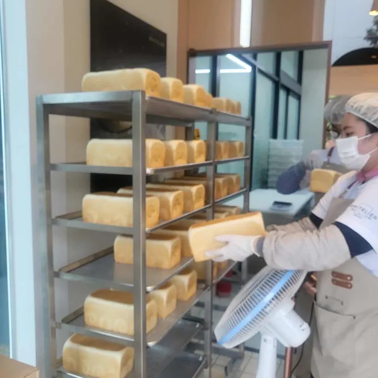 화이트리에 대표 사진