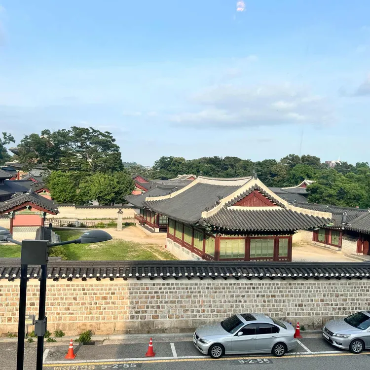 회화나무 대표 사진