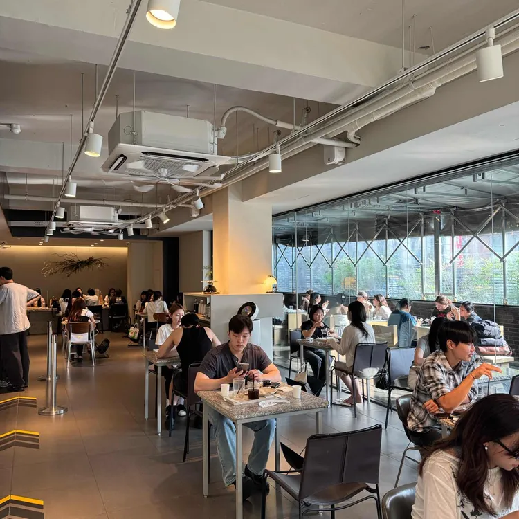 트리오드 사진 2