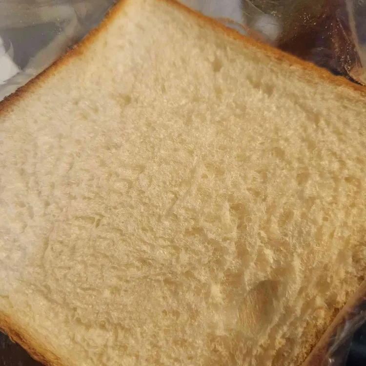 쁘숑 대표 사진