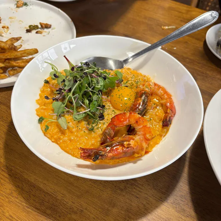 코지 사진 2