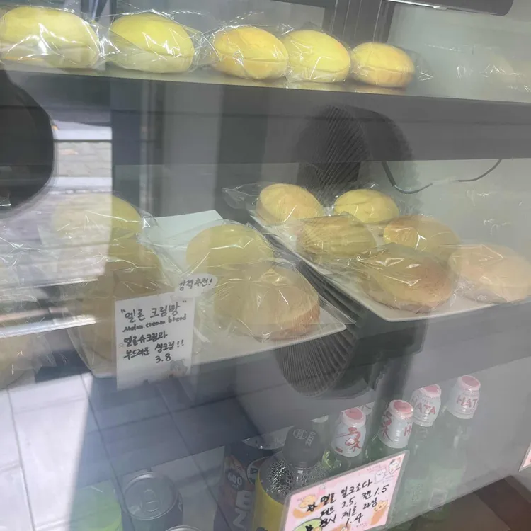 카멜리온 사진