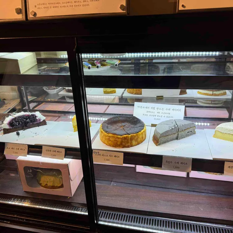프란쓰 대표 사진