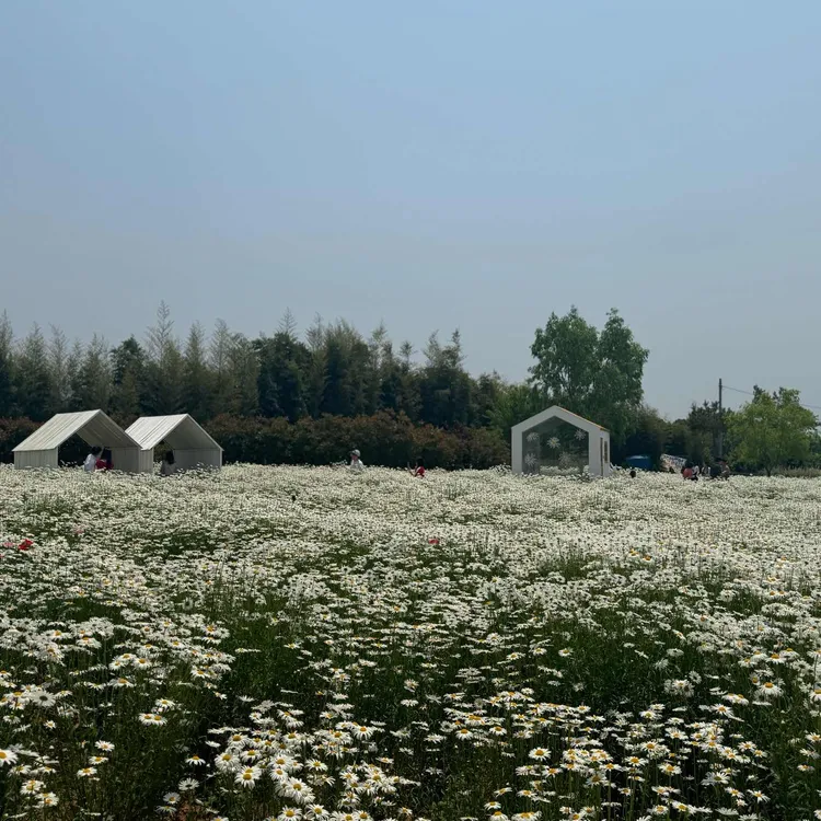 오늘여기 대표 사진