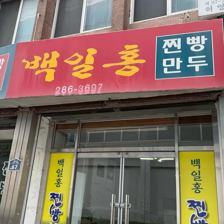 백일홍 대표 사진