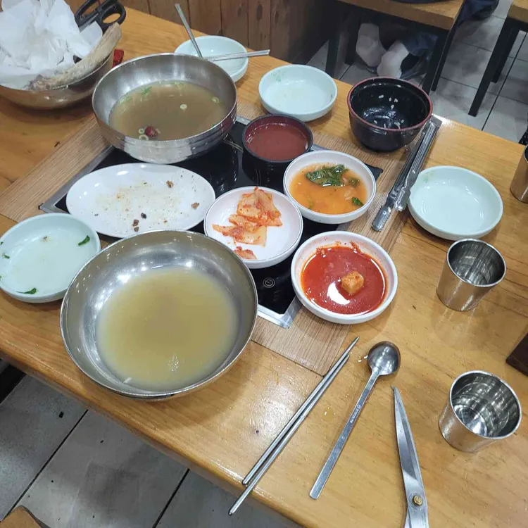 평양메밀 사진 1