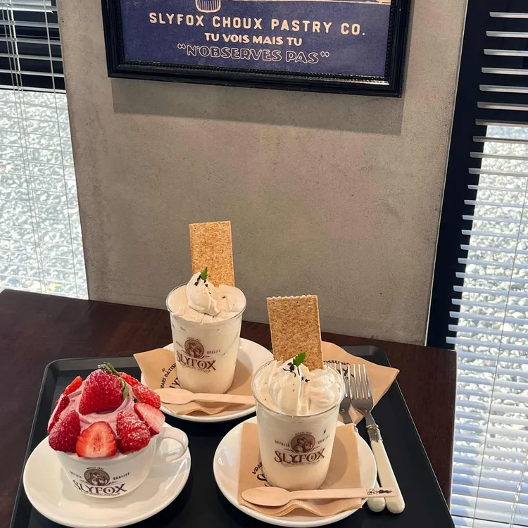 슬라이폭스 사진