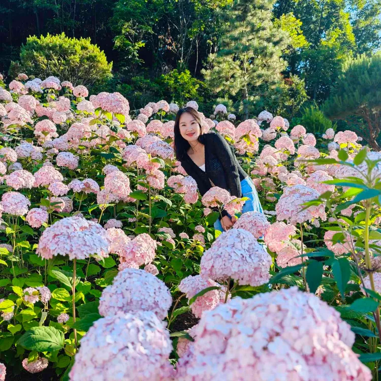 카페 수목 대표 사진