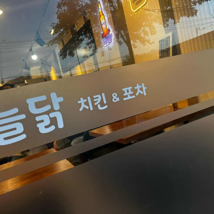 오늘닭 사진 2