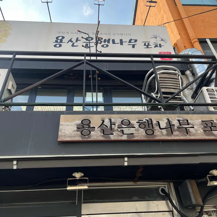 은행나무포차 사진 1