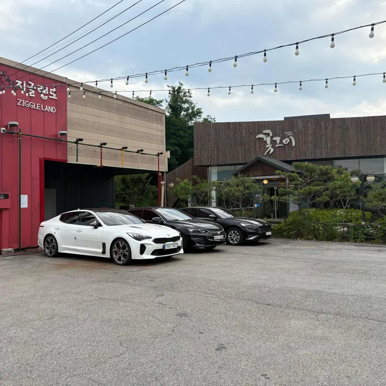 지글랜드 대표 사진