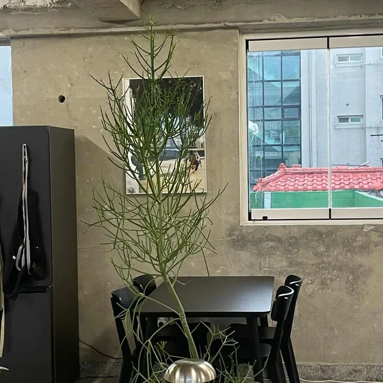 워크샵구모 대표 사진
