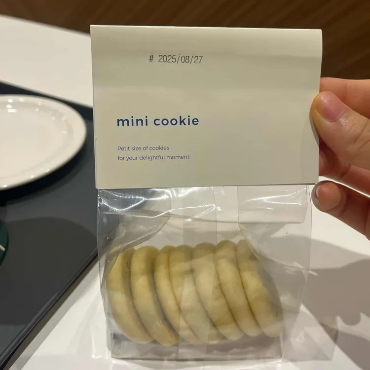 댄싱컵 대표 사진
