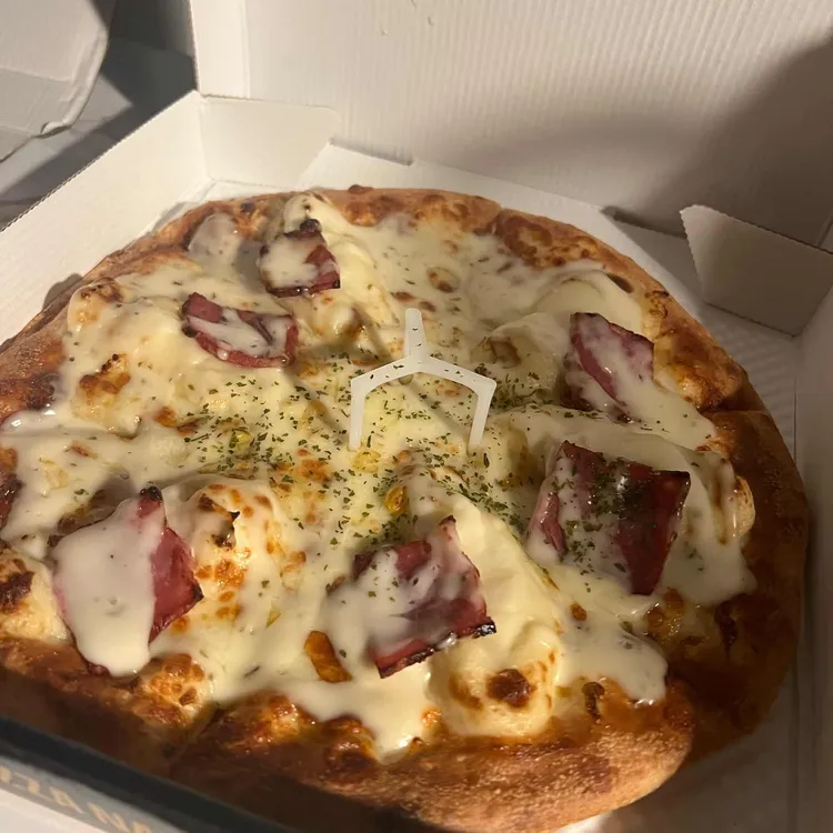 피나치공 사진 2